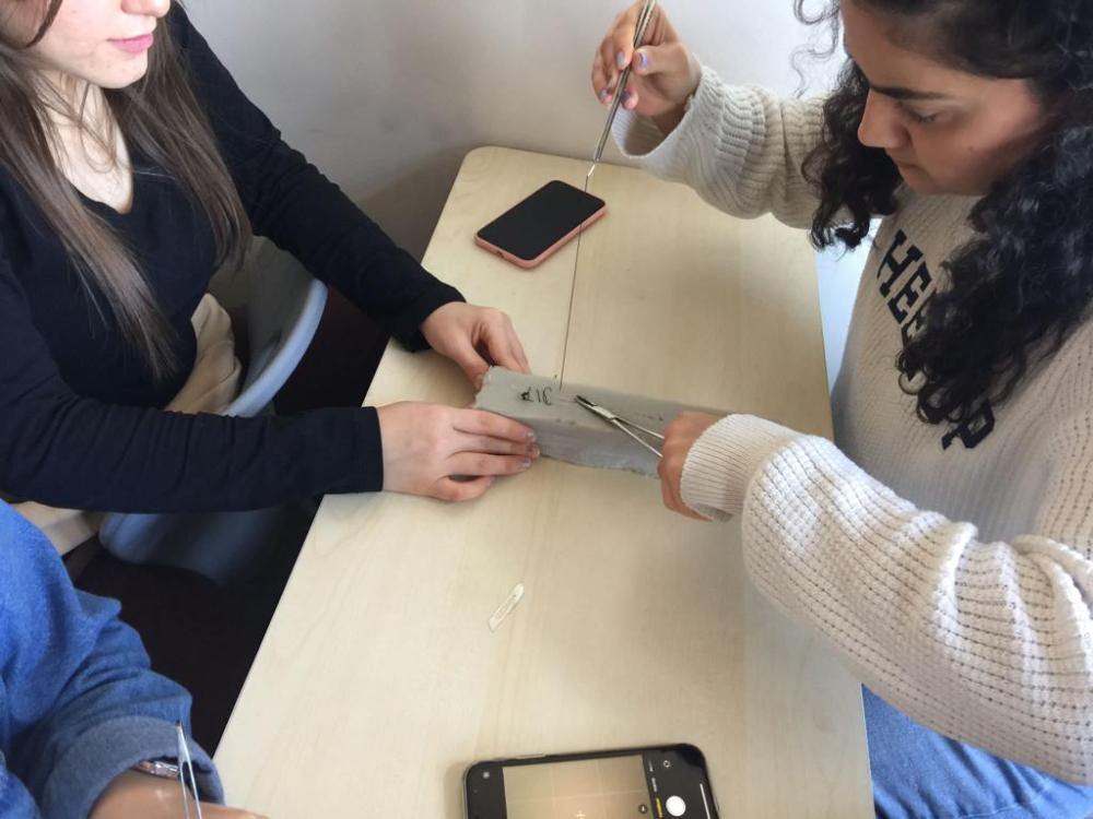 smyo_1646297561_622081d97cf9a.jpeg